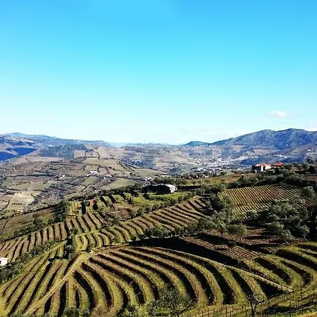 Casa Quinta Da Adega Do Chao - Vale Do Douro * 拉梅戈