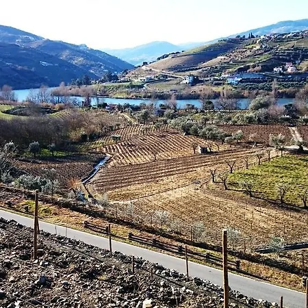 度假居 Casa Quinta Da Adega Do Chao - Vale Do Douro *