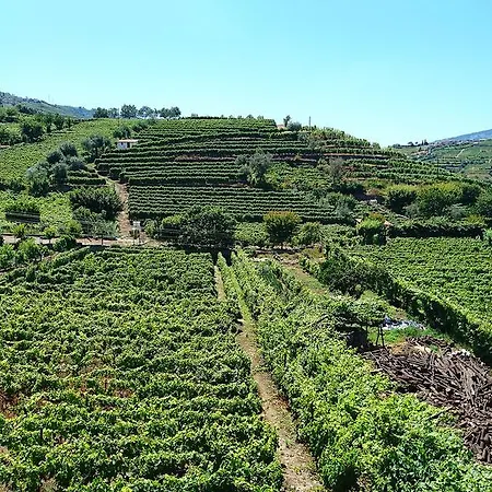 度假居 Casa Quinta Da Adega Do Chao - Vale Do Douro