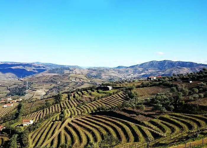 Casa Quinta Da Adega Do Chao - Vale Do Douro * Lamego