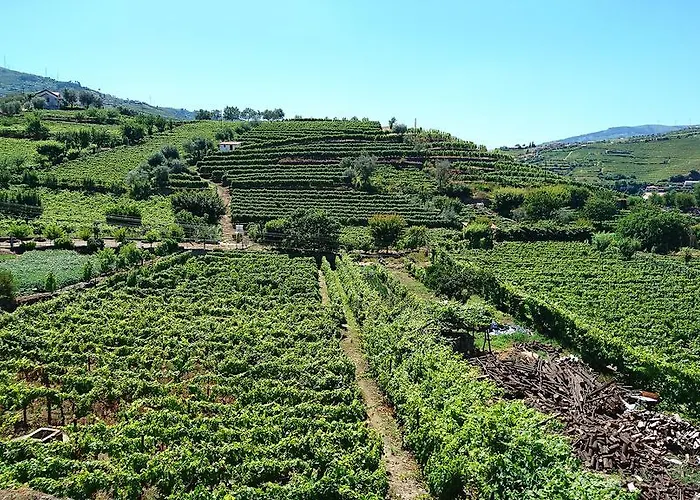 بيت للعطل Casa Quinta Da Adega Do Chao - Vale Do Douro